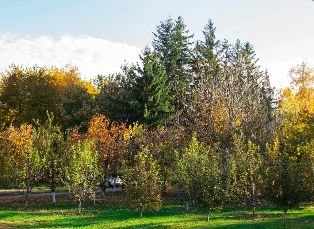 Création et entretien paysager à Chalon-sur-Saône et Givry 🌿Nous concevons et réalisons des espaces naturels et durables Forêts fruitières, jardins en permaculture.